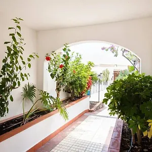 1 Bedroom For 4 People In Tenerife , Costa Adeje (Tenerife) España